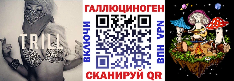 Галлюциногенные грибы Psilocybe  где найти   Новохопёрск 